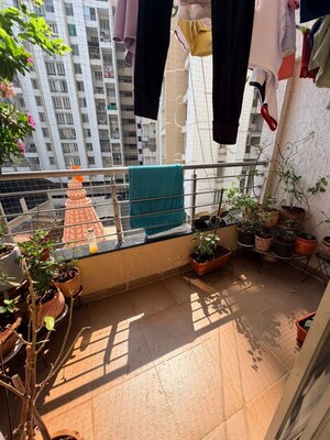 Balcony in 3 BHK Apartment at Dhanori – for Rent