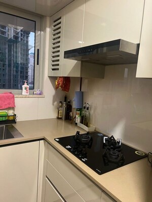 Kitchen in 1 BHK Apartment at Truearth View, Vikhroli East – for Sale