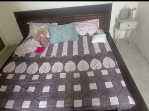 Room in 2.5 BHK Apartment at DLF Silver Oaks, Sector 26 – for Rent
