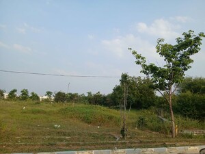 Plot Area in  Plot at Green City Dukes County, Kondakal – for Sale