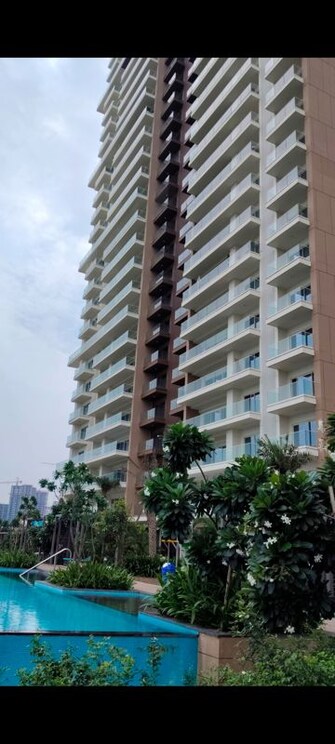 4 BHK +Apartment For Rent in Kalpataru Vista in Sector 128, Noida