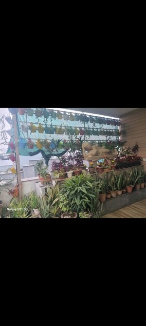 Master Plan in 3 BHK Builder Floor at Navjeevan Vihar – for Sale