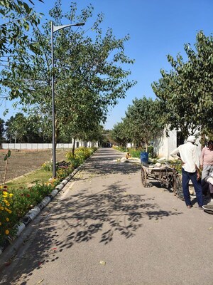   Plot at Central Park Flower Valley Mikasa Plots, Sohna Sector 33 – for Sale