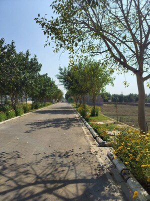   Plot at Central Park Flower Valley Mikasa Plots, Sohna Sector 33 – for Sale