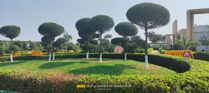  Plot – Garden View at Jait - for Sale