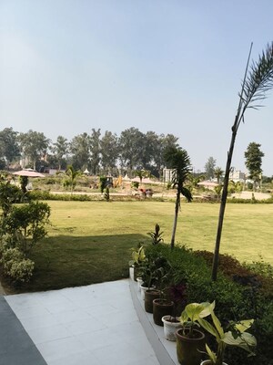 Plot Area in  Plot at Budhana – for Sale