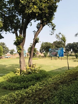  Plot – Exterior View View at Budhana - for Sale
