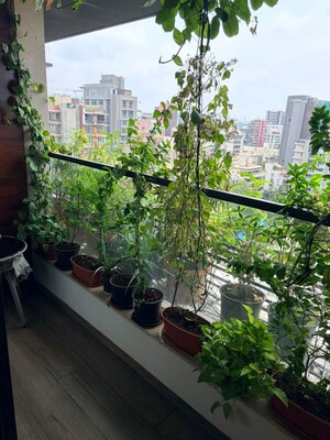 Balcony in 3 BHK Apartment at Khar West – for Rent