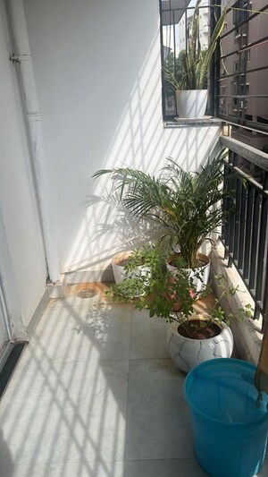 2 BHK Apartment For Sale in AR Green Valley, Kondapur