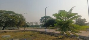 Plot Area in  Plot at Panjari – for Sale
