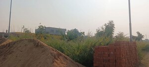 Plot Area in  Plot at Panjari – for Sale