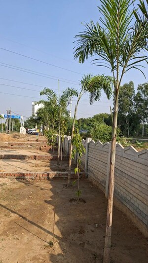  Plot For Sale in Soha Neal City, Sector 98