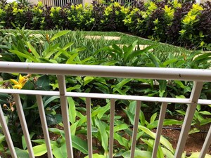 Balcony in 2 BHK Apartment at Brigade Bricklane, Jakkuru – for Rent