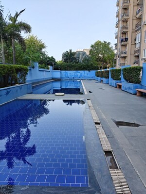 Swimming Pool in 3 BHK Apartment at Tulip White, Sector 69 – for Rent