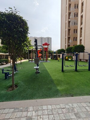 3 BHK Apartment – Garden View at Tulip White, Sector 69 - for Rent