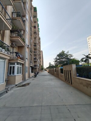 3 BHK Apartment – Exterior View View at Tulip White, Sector 69 - for Rent