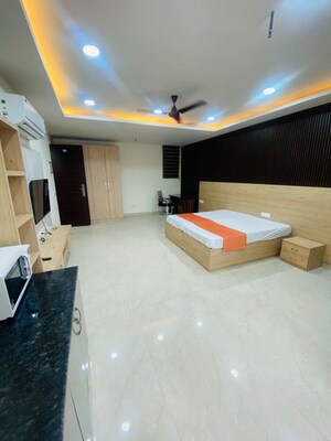 Living Room in 1 BHK Builder Floor at Sector 46 – for Rent