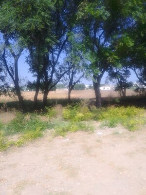 Plot Area in  Land at Kharar Mohali Road – for Sale