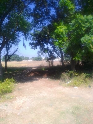 Land For Sale in Kharar Mohali Road