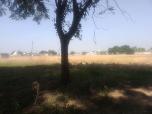 Plot Area in  Land at Kharar Mohali Road – for Sale