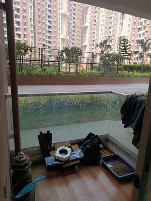 1 BHK Apartment For Rent in VTP Belair, Mahalunge