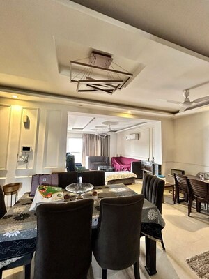 Team Area in 3 BHK Builder Floor at Sector 22 – for Sale