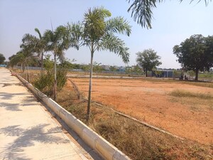 Plot Area in  Plot at Kandukur – for Sale
