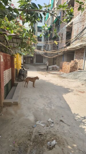  Apartment – Exterior View View at Nawada - for Sale