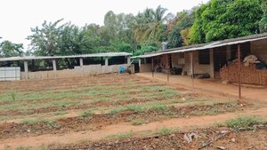 Plot Area in  Land at Devanahalli – for Rent