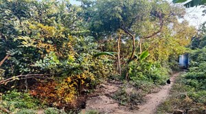  Land For Sale in Perur