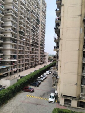 2 BHK Apartment For Rent in SCC Sapphire, Raj Nagar Extension