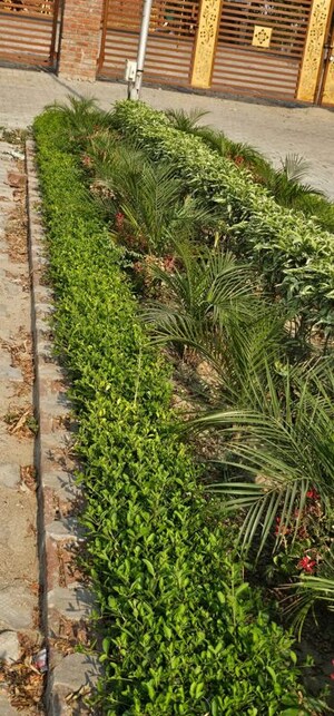  Plot – Garden View at Mirzamurad - for Sale
