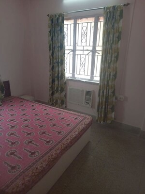 3 BHK Apartment For Rent in Haltu