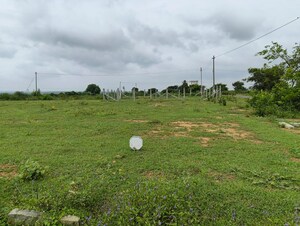 Plot Area in  Plot at Thillai Nagar – for Sale