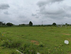 Plot Area in  Plot at Thillai Nagar – for Sale