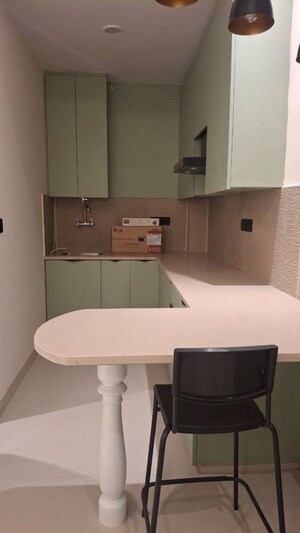 1 BHK Builder Floor For Rent in Sector 42
