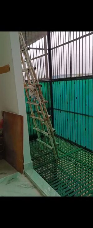 Balcony in 3 BHK Builder Floor at Sector Swarn Nagri – for Rent