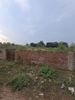  Plot For Sale in Professor's Colony
