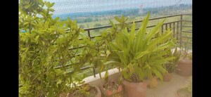 Master Plan in 3 BHK Apartment at Migsun Green Mansion, Zeta I Greater Noida – for Sale
