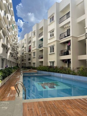 3 BHK Apartment For Rent in Sowparnika Flamenco, Sarjapur Road