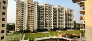 4 BHK Apartment For Rent in M3M Woodshire, Sector 107