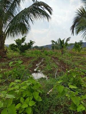 Plot Area in  Plot at Kanakapura – for Sale