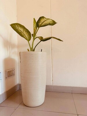Bathroom in 4 BHK Apartment at Indiabulls Centrum Park, Sector 103 – for Sale